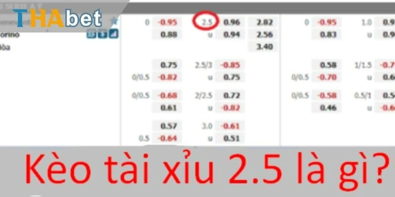 Kèo tài xỉu 2.5 là gì? 